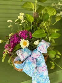 Cut flower/plant combo – Image 1