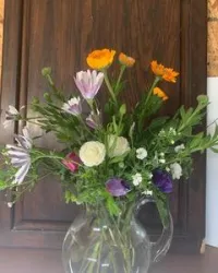 Seasonal Package – Image 3