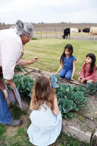 Farm Joy – Image 2