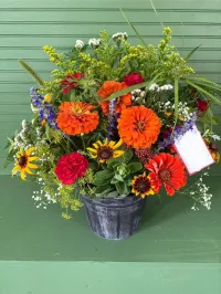 Seasonal Custom Package – Image 2