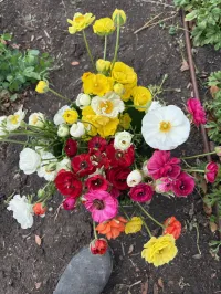 DIY bucket, custom – Image 7
