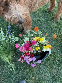DIY bucket, custom – Image 3