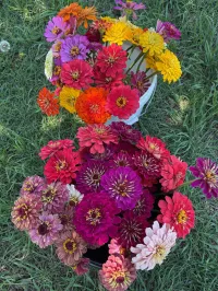 DIY bucket, custom – Image 4