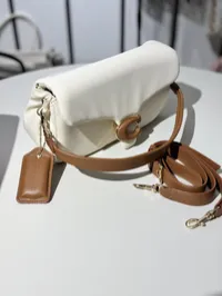 Coach Pillow Tabby – Image 3