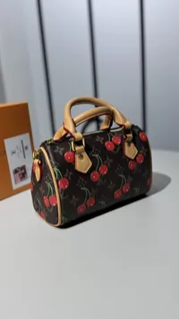 Louis Vuitton Nano Speedy Mini Super Master with Package – Image 4