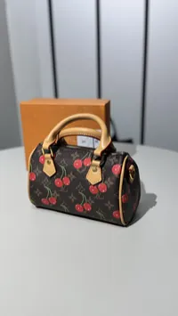 Louis Vuitton Nano Speedy Mini Super Master with Package – Image 8