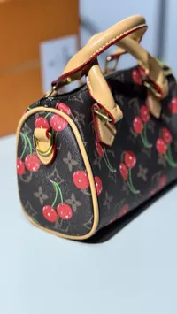 Louis Vuitton Nano Speedy Mini Super Master with Package – Image 9