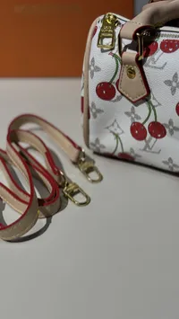 Louis Vuitton Nano Speedy Mini Super Master with Package – Image 10