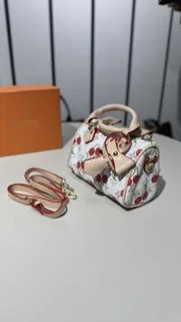 Louis Vuitton Nano Speedy Mini Super Master with Package – Image 6