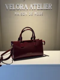 Charles & Keith Mini Kerry Super Master with Package (Burgundy) – Image 2