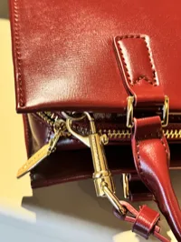 Charles & Keith Mini Kerry Super Master with Package (Burgundy) – Image 8