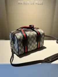 Gucci Mini GG handbag Super Master with Package (Gray) – Image 5