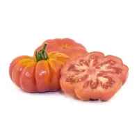 Pomodoro Costoluto – Image 4