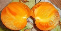 Pomodoro Arancione Caco – Image 2
