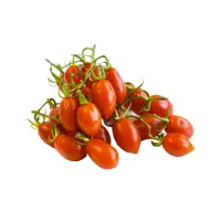 Pomodorino Datterino Rosso – Image 2