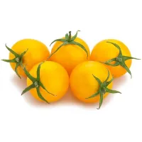 Pomodorino Ciliegino Giallo – Image 3