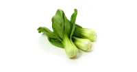 Pak Choi Mini – Image 4
