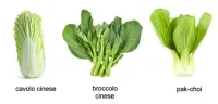 Pak Choi Mini – Image 2