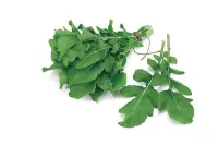 Rucola – Image 3