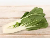 Pak Choi – Image 4
