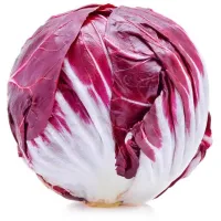 Radicchio Rosso - Pz – Image 4