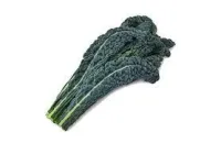 Cavolo Nero – Image 4