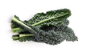 Cavolo Nero – Image 3