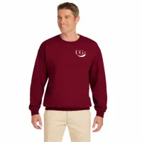 G180 GILDAN ADULT HEAVY BLEND 50/50 FLEECE – Image 1
