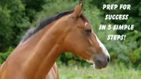 Prep for Success in 5 Simple Steps – Image 1