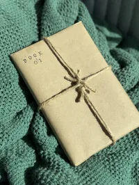Winter Book Box 2025 – Image 2