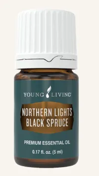 Northern Lights Black Spruce 5ml – Image 1