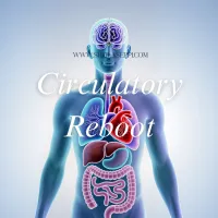 Circulatory Reboot – Image 1