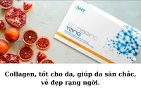 Bổ sung colagen - EL MARINO YANG – Image 4