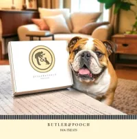 English Bulldog MEGA Biscuit – Image 5