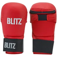 Karate Hand Pads – Image 1
