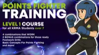 Points Fighter Training – Level 1 Seminar – Image 1