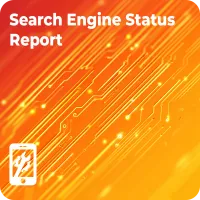 Search Engine Status Report – Image 1