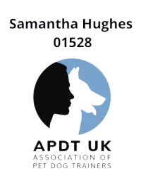 blog author image