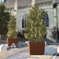 Quadria Steel – Image 3