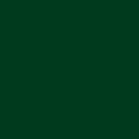 Dark Green - Gloss – Image 1