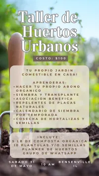 Taller de Huertos Urbanos – Image 6
