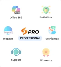Professional Managed IT Service – Image 1