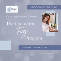 Out of the Fog | 12-Week Individual Program – Image 1