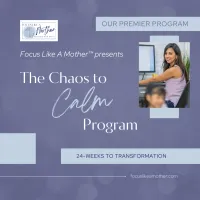 Chaos to Calm | 24-Week Individual Program – Image 1