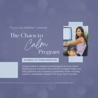 Chaos to Calm | 24-Week Individual Program – Image 2