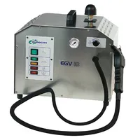 [A00019344] - EGV 18 Generatore di vapore a caricamento manuale Eurocem – Image 1