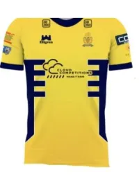 Adult Away Shirt – Image 1