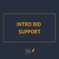 Intro Bid Support Package – Image 1