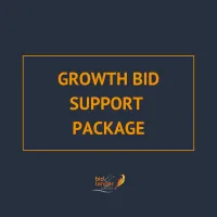 Growth Bid Support Package – Image 1