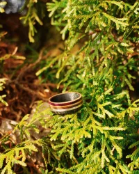 The Lunar Ring | Men's Wedding Band – Image 1